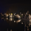 niendorf_2020_12_11