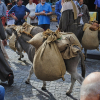 Gruppen 5 und 6