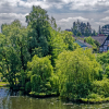 östliche Seite der Wakenitz im Juni 2022_4